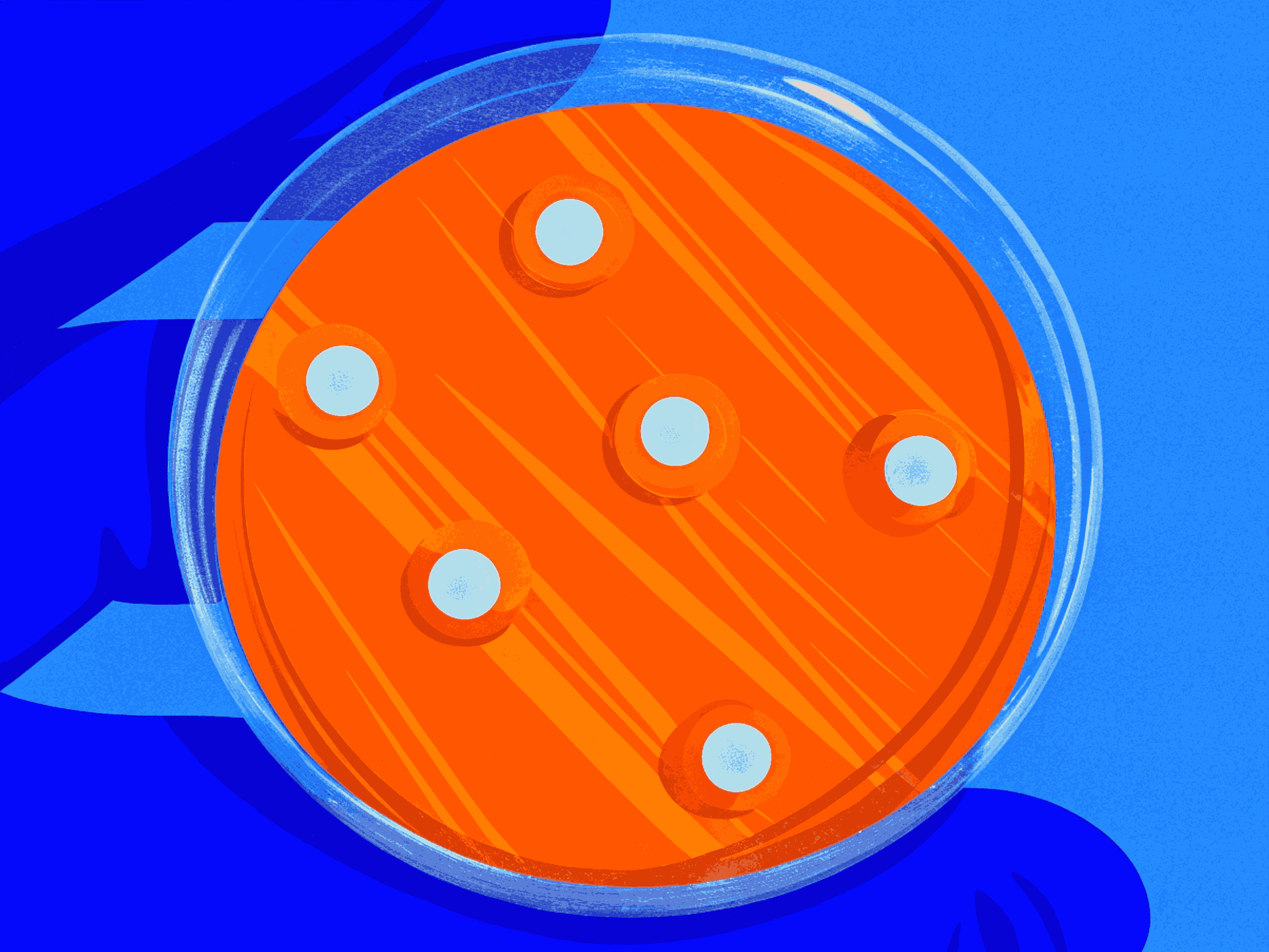 Антибиотикорезистентность грамотрицательных бактерий